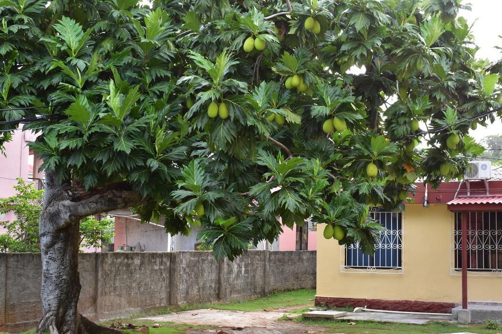 Posada James San Andrés Εξωτερικό φωτογραφία